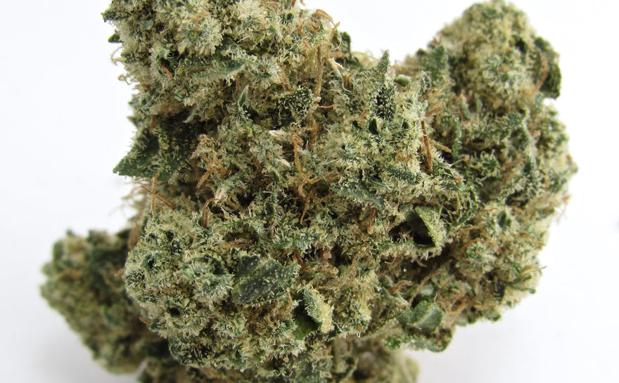 Cherry Garcia Strain Review: Flavor, Effects & More