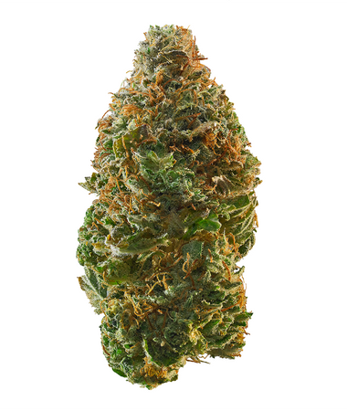 First Time Dispensary Deals Near Me [WNY Buyer Guide]