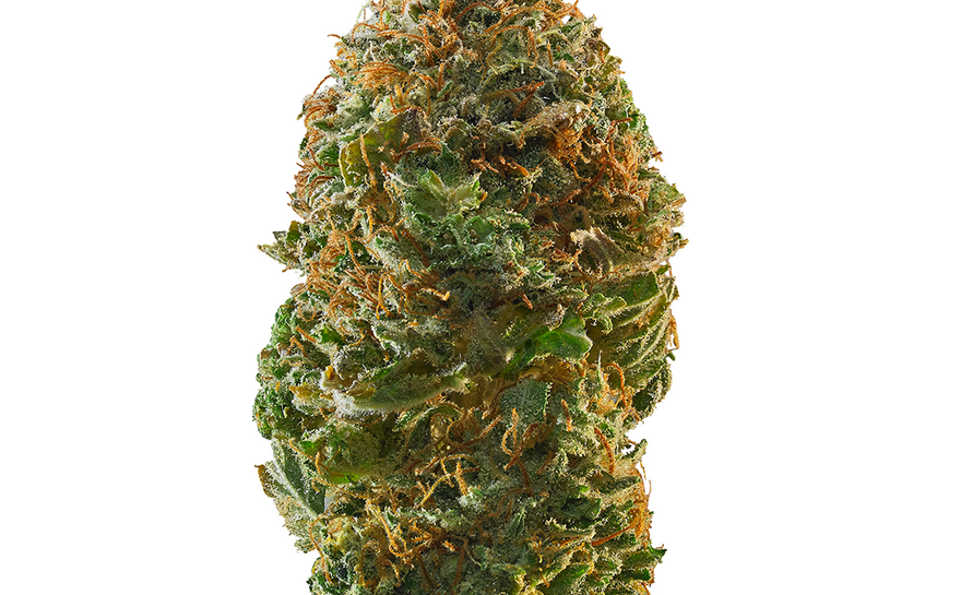 First Time Dispensary Deals Near Me [WNY Buyer Guide]