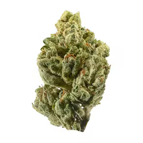 Tuscarora Reservation Dispensary: The no STeMs Story