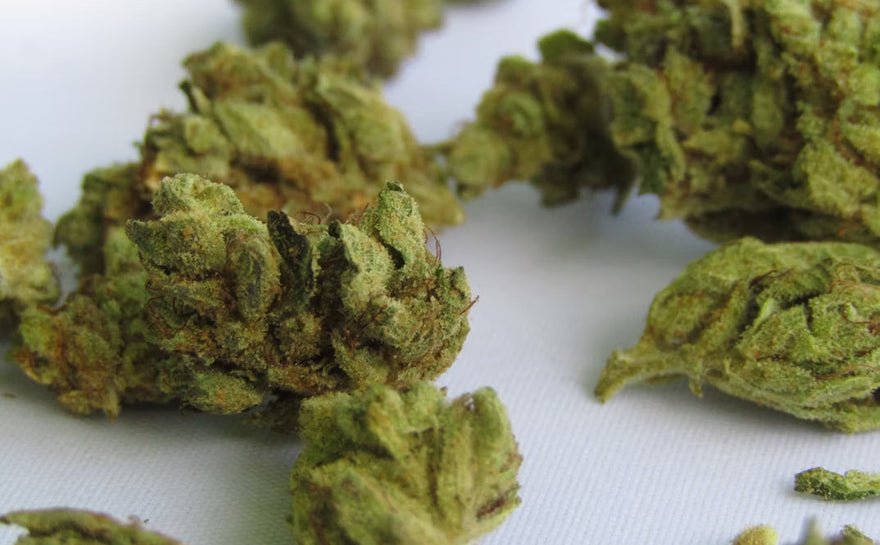 Best Cannabis Shop Near Me in Niagara Falls NY