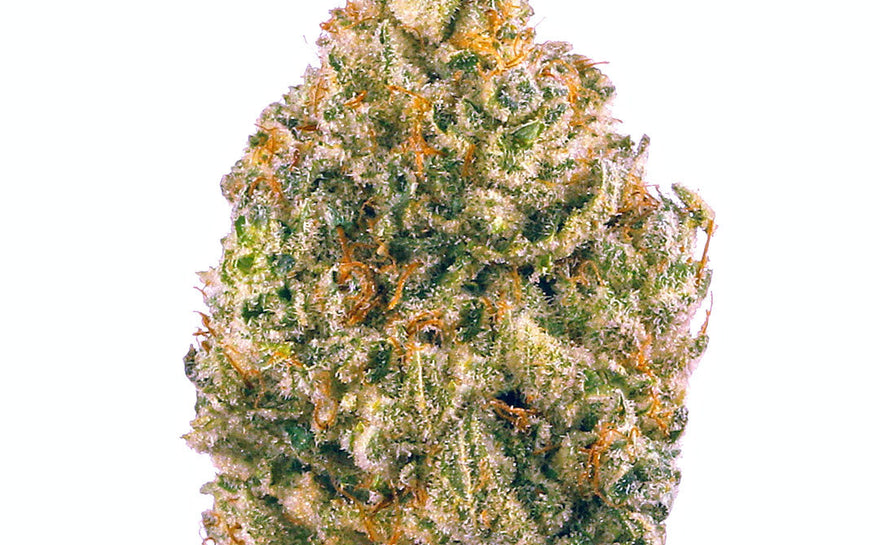 Tax-Free Cannabis Dispensary Niagara Falls NY: What Locals Should Know
