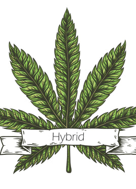 Hybrid
