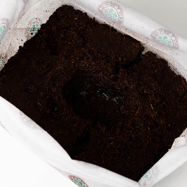 Char Coir Bio Pot