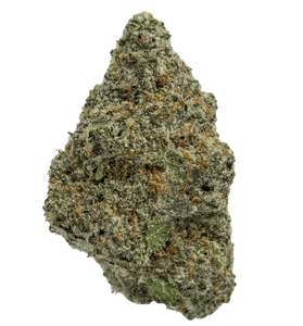 Lunch Money - Hybrid