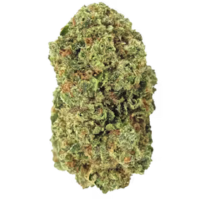 Fire AF - Indica Hybrid