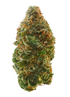 Animal Sherb - Hybrid
