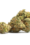 Bacio Gelato - Hybrid