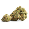 Bacio Gelato - Hybrid