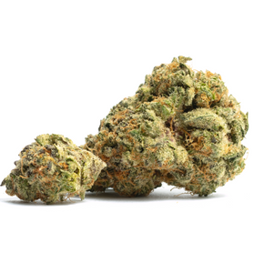 Cherry Velvet - Hybrid