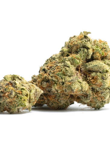 Cherry Velvet - Hybrid