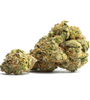 Bacio Gelato - Hybrid