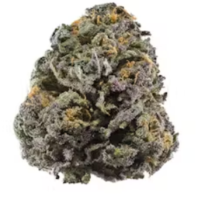 Berry Sanders - 716 Big Duke