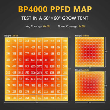 Bloom Plus Full Spec. LED Lights