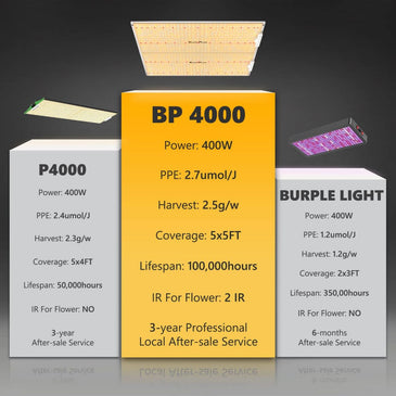 Bloom Plus Full Spec. LED Lights