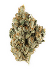 Blue Nerz - Sativa Hybrid