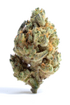 Cake Batter - Hybrid