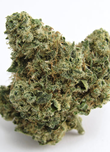 Cherry Slaps -  Hybrid