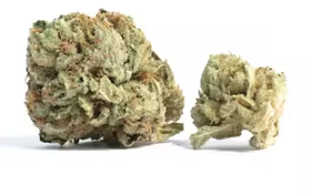 Cherry Garcia - Green Bull