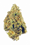 Doc OG - Hybrid