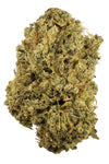 Durban Poison - Sativa