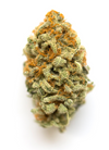 GMO Cookies - Hybrid