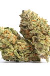 Golden Cobra - Hybrid