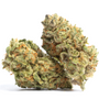 Golden Cobra - Hybrid