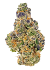 Gumbo - Indica