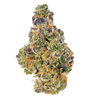 Gumbo - Indica