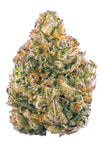 Ice - Sativa Hybrid