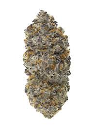 Pave x Blueberry - 716 Big Duke