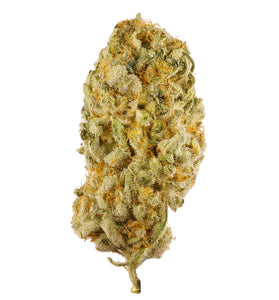 Jack Herer - Sativa