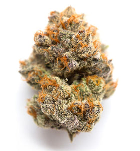 Jacks Cleaner - Sativa