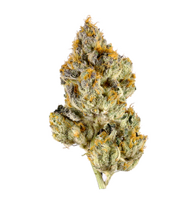 Lemon Cherry Gelato - Hybrid