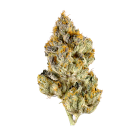 Lemon Cherry Gelato - Hybrid