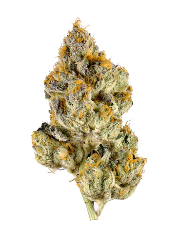 Lemon Cherry Gelato - Hybrid