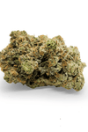 Lizard Laser - Sativa