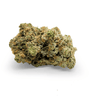 Lizard Laser - Sativa