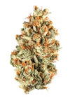Plat OG -  Hybrid