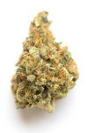 Player One - Sativa Hybrid