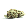 Rainbow Sherbet - Hybrid