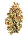 Red Pop - Indica