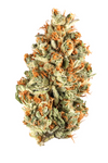 Red Pop - Indica