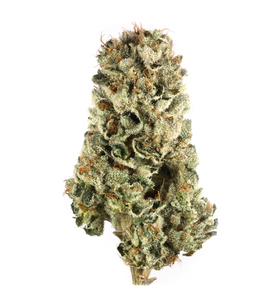 Skunk Hero - Green Bull