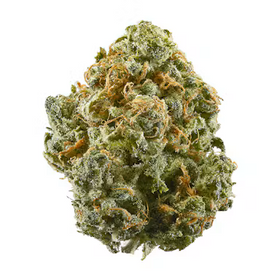 Alaskan Thunder Fuck - Sativa
