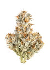 White Truffle - Indica