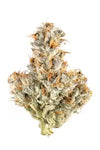White Truffle - Indica