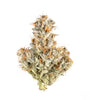 White Truffle - Indica