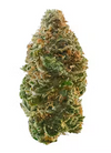 Apple Jacks - Sativa Hybrid